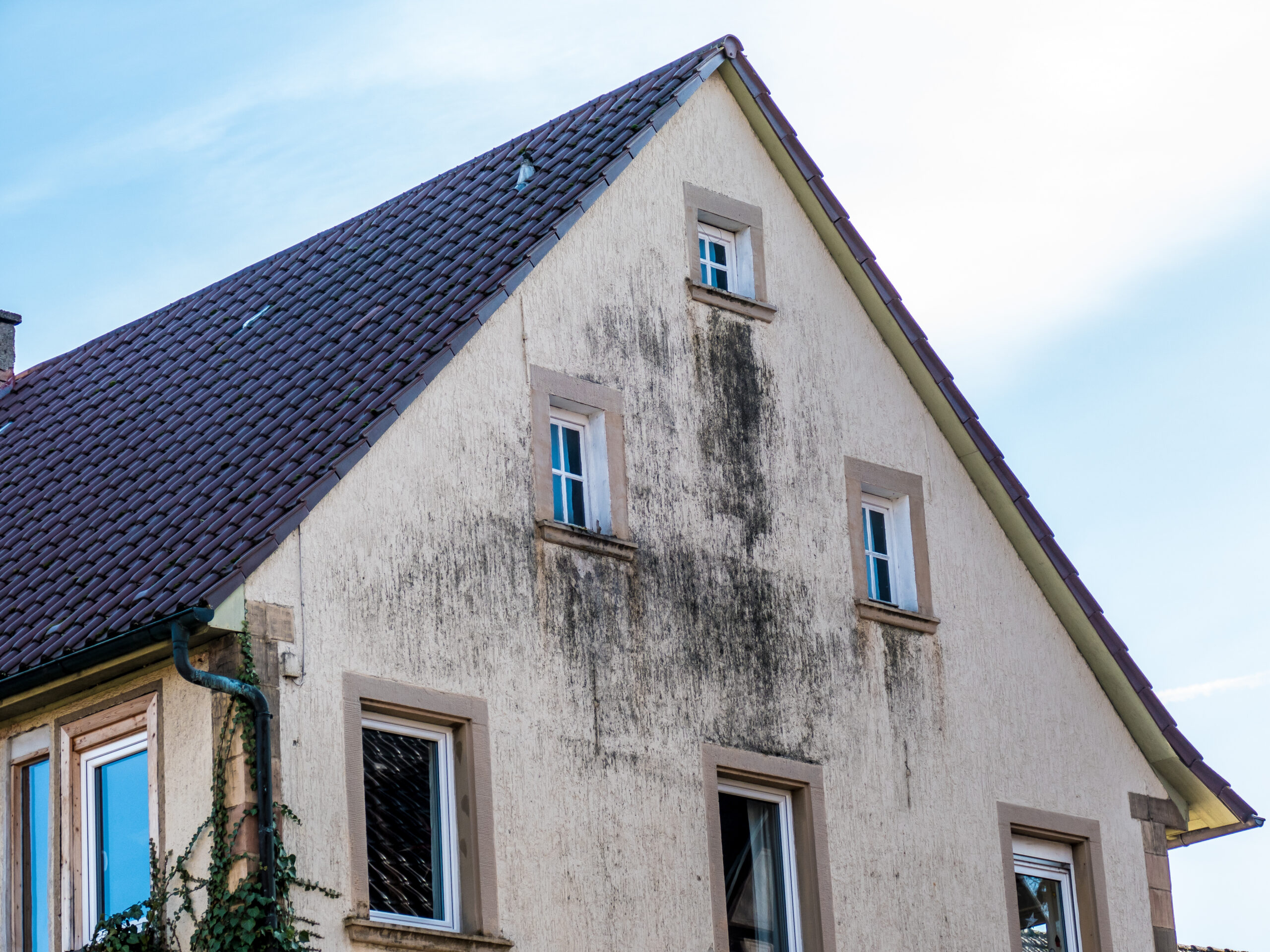 Nettoyage façade : conseils et budget pour une maison