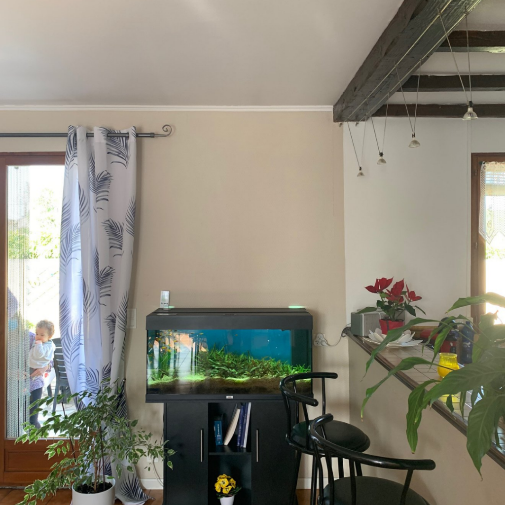 **Balise alt :** Intérieur avec aquarium, plantes et bar, idéal pour la rénovation à Toulouse.